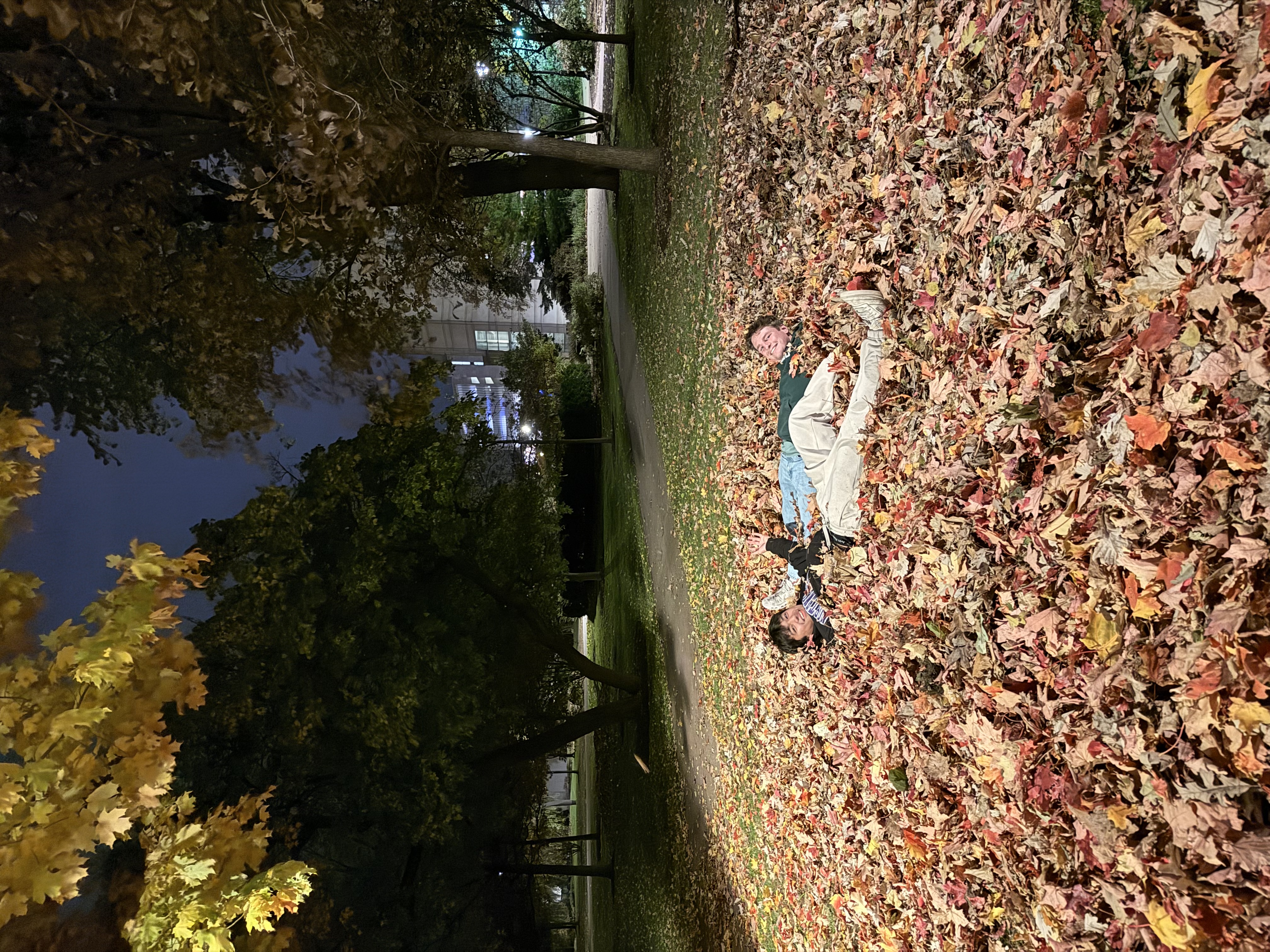 Fall on Northwestern campus